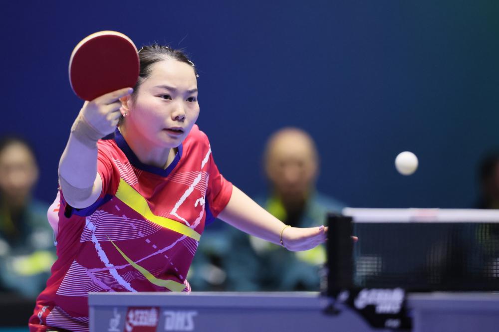 新加入的智 新加入的智