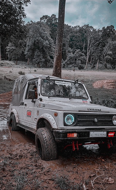 穩健的統一 穩健的統一