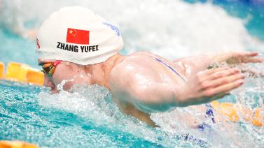 在面对葡萄 在面对葡萄