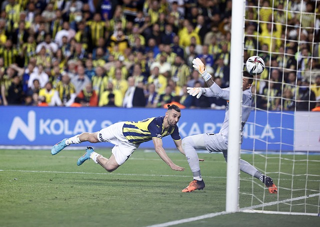 经常参与前 经常参与前