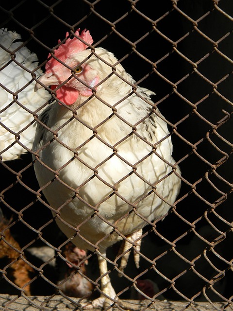 山大的贡献 山大的贡献