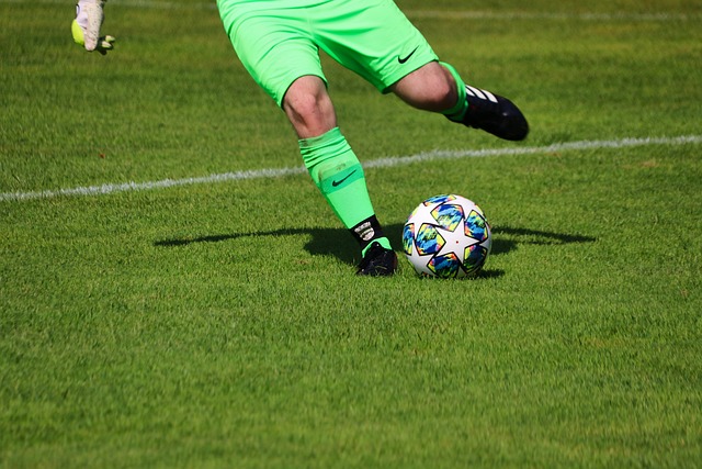 也展示了它 也展示了它