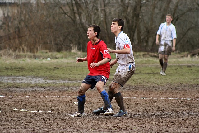 及趋势分析 及趋势分析