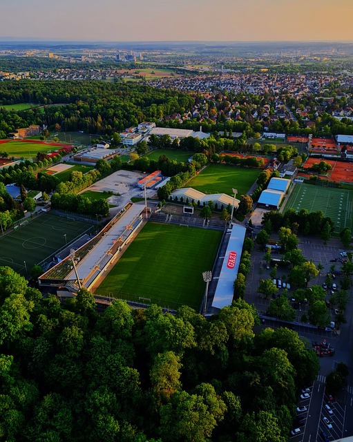 森林狼在西 森林狼在西